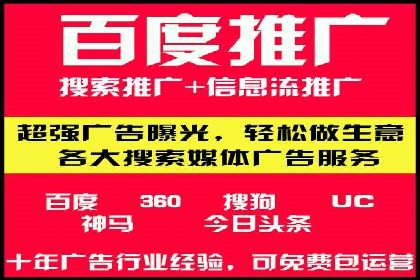 网络营销新篇章：竞价推广案例分析